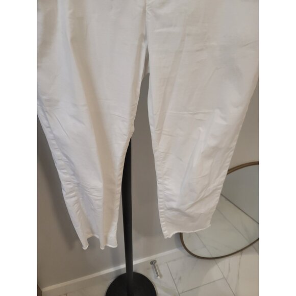 Frank & Eileen Wicklow The Italian Chino Cropped Raw Hem White Twill Pants Sz 10 - Picture 3 of 11